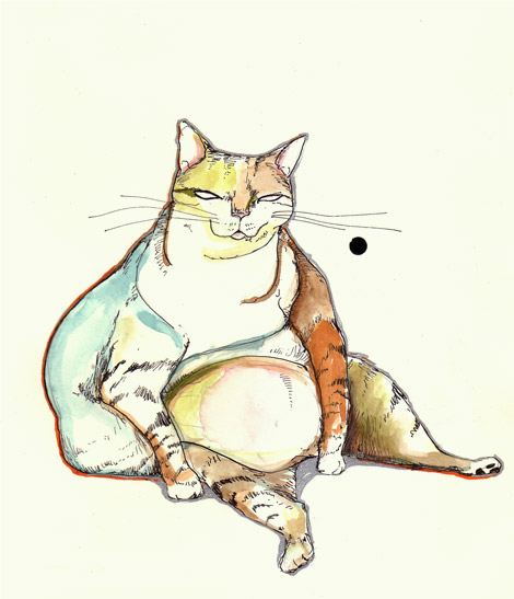 Fat Cat Drawing 9